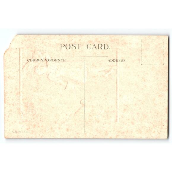 Vintage Thanksgiving Postcard Man with Turkey Lithograph T-85 Torn Corner - Picture 2 of 2